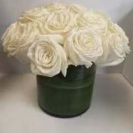 ROSES ALL DAY