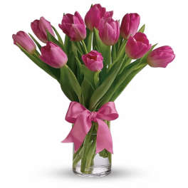 Pink TulipsDL