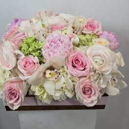 The Serenity Blush