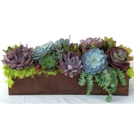 Succulent arrangement in a rectangular wooden planter