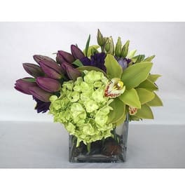Purple tulips and green hydrangeas in a square glass vase