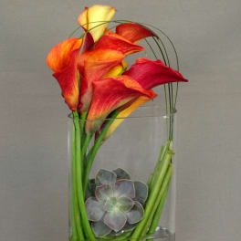 Calla lilies and a succulent in a clear glass vase