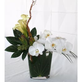 White orchids and calla lilies in a dark glass vase