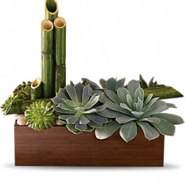 Succulent arrangement in a wooden planter with bamboo stalks