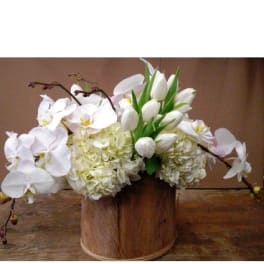 White orchids and tulips arranged in a wooden container