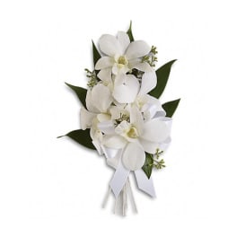 White orchid corsage with a ribbon tie