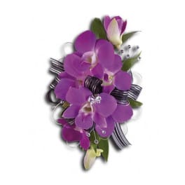 Purple orchid corsage with ribbon and silver accents