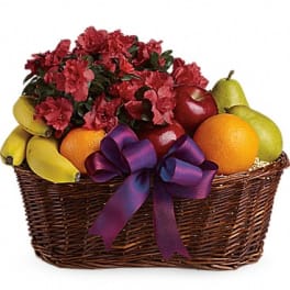 Basket of red carnations with assorted fruit and a purple ribbon