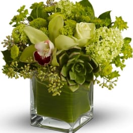 Green floral arrangement with orchids and roses in a square glass vase
