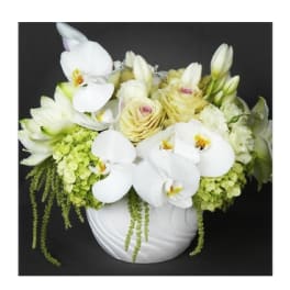White orchids and pale yellow roses in a white vase