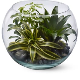 Sphere of Tranquility