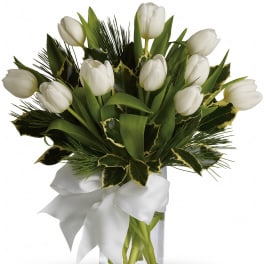 Tulips and Pine