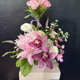 Orchid Lily Dream