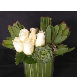 White roses and a green succulent in a glass vase