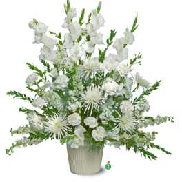 Pure Whites