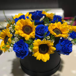 Midnight petals