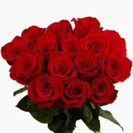 Bouquet of red roses with green foliage