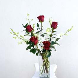 Simple Elegance