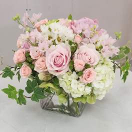 Pink & Green