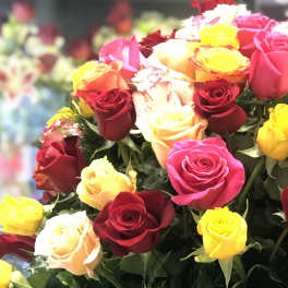Love's Truest Language