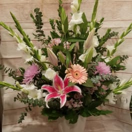 Multicolor Sympathy