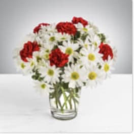 Daisy Crazy by BloomNation™