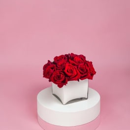 Radiant in Red by BloomNation™