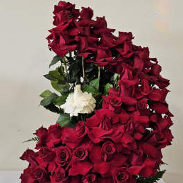 Lovely Red
