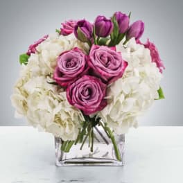 Lovely Lilac