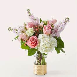 Little Luxuries