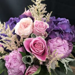 Vibrant Elegance