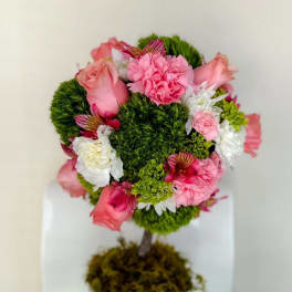 Topiary Rossie
