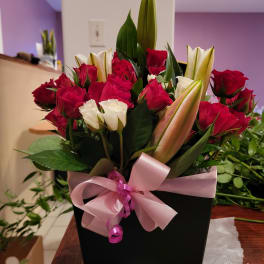 Rosas lily's