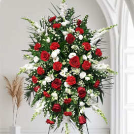 Red and White Spray