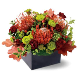 Teleflora's Protea Garden