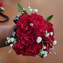 Red carnation