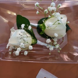 White rosa