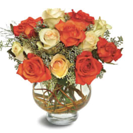 Harvest Moon Roses