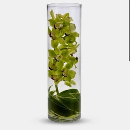 Orchids under the water