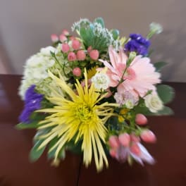 spring surprise