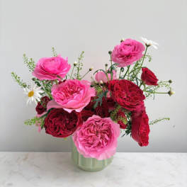 Rose Romance