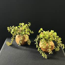 Small Faux Succulent Planter Duo