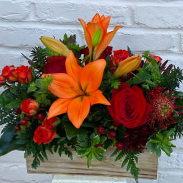 Box of Autumn
