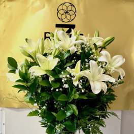 Classic Lilies