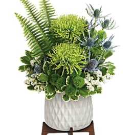 Green chrysanthemum arrangement in a white textured pot