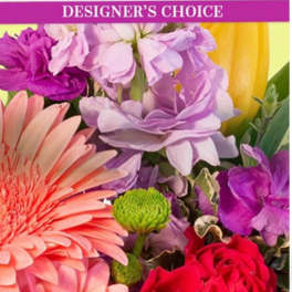 designer choice