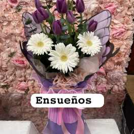 morado pulpo