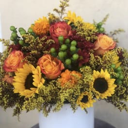Autumn Blooms