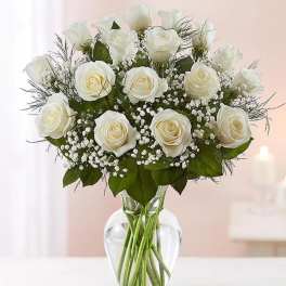 ROSE ELAGANCE WHITE