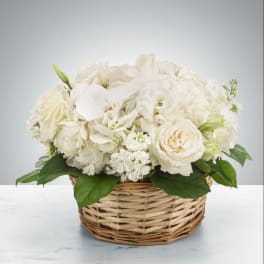 Lace by BloomNation™